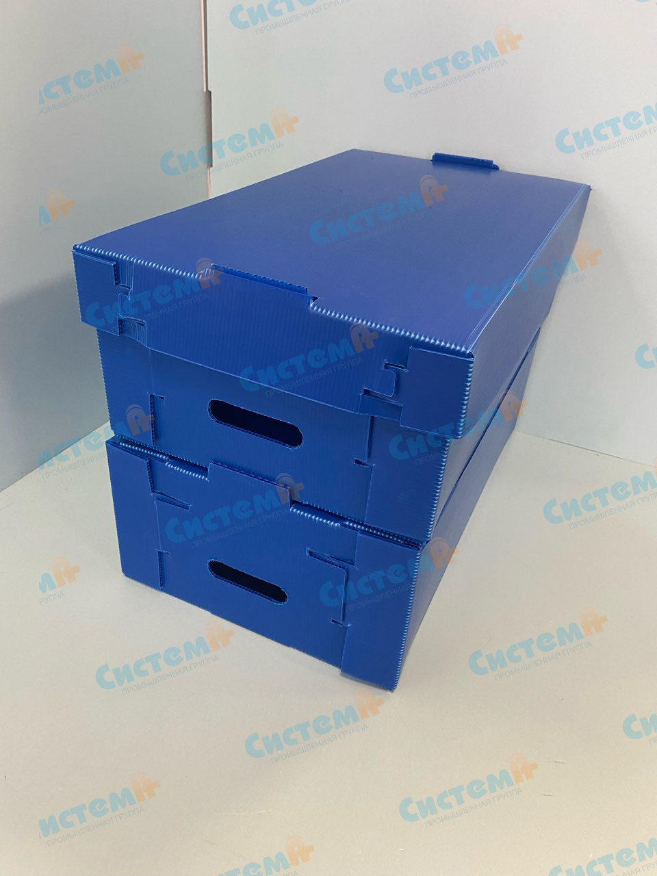 Самосборные морозостойкие ящики для хранения продуктов