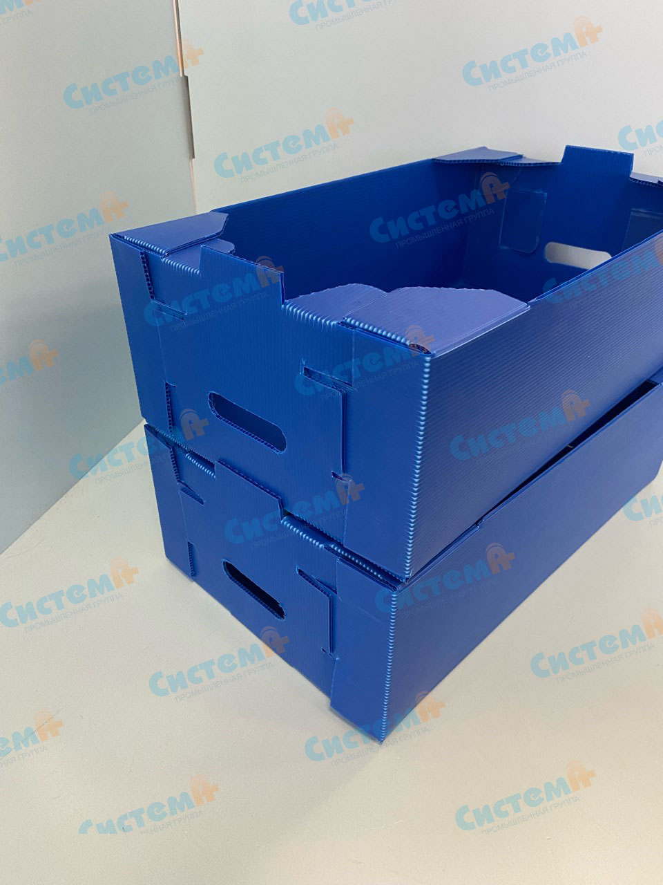 Самосборные морозостойкие ящики для хранения продуктов